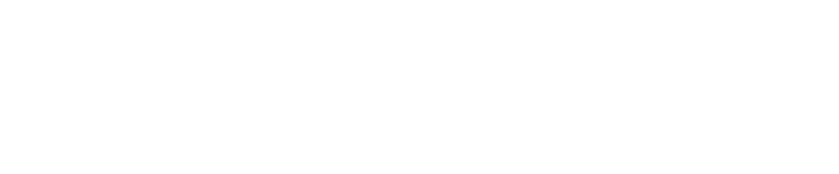 SIEI